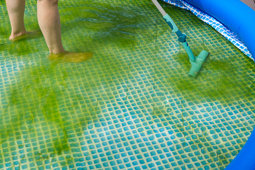 Removing Mold in Pool