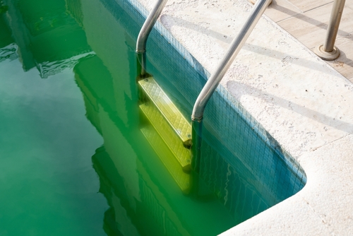 What Are the Dangers of a Green Pool